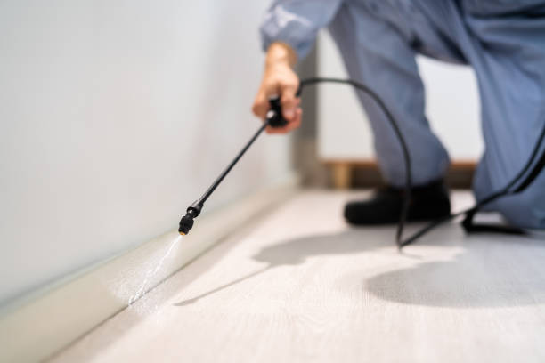 Rodent Entry Point Assessment in Santa Monica
