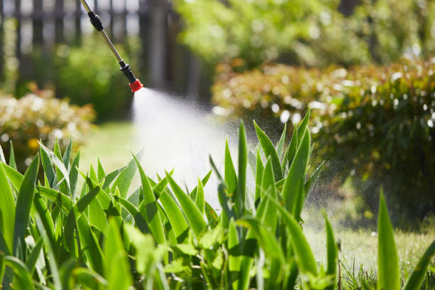 Tamper-Resistant Bait Stations for Rodents in Santa Monica