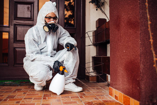 Attic and Crawl Space Rodent Treatment in Santa Monica